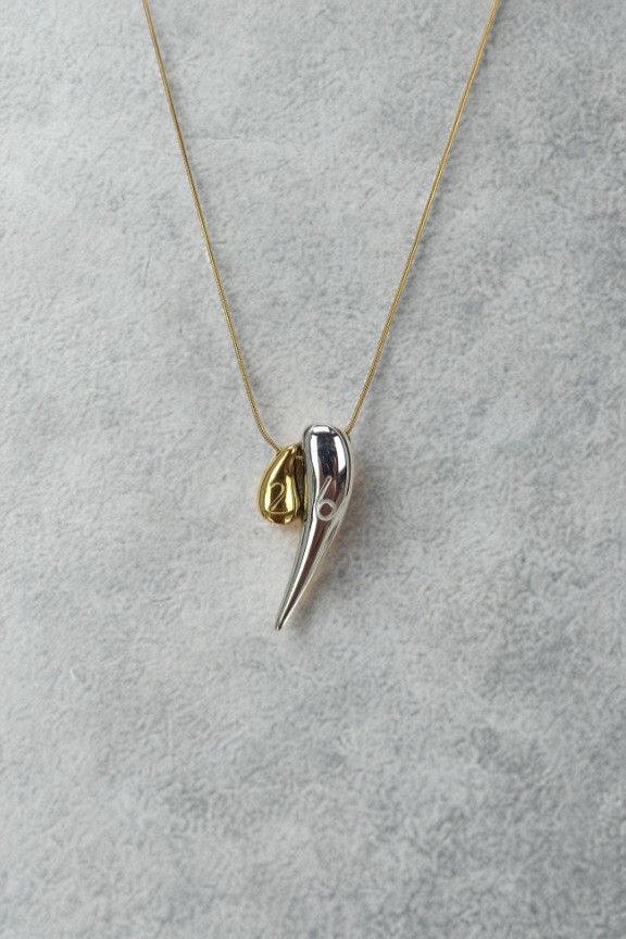 κολιέ-γυναικείο-γούρι-2026-διχρωμία-κέρατο-ατσάλι