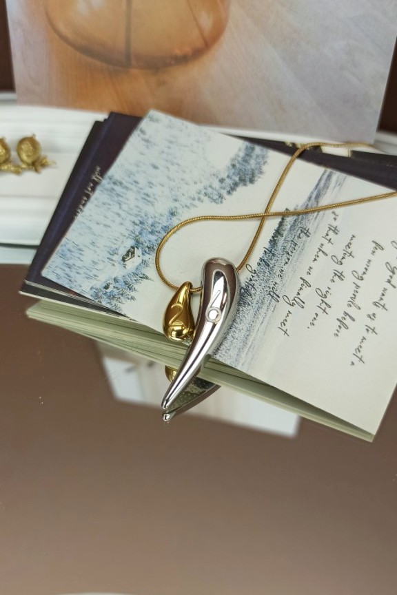 κολιέ-γυναικείο-γούρι-2026-διχρωμία-κέρατο-ατσάλι